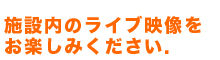 施設内のライブ映像をお楽しみください。